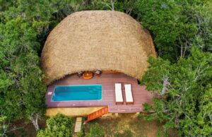 Uga Chena Huts named Best Small Hotel in the World-Trip Advisor 2023