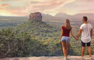 Tourism on a tear as July income at US$ 328mn