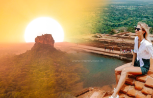 USD 3,000 a day from watching Sigiriya sunrise