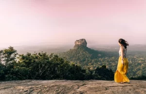 Cabinet nod for tourism sector to import 1000 vehicles