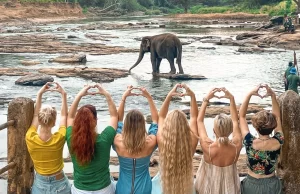 Tourism earnings up 87% to $ 1.4 b in first five months