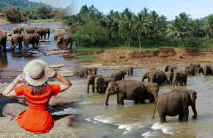 Sri Lanka to declare 49 new tourism zones