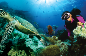 Marine Tourism: Master Plan to be launched in mid-May
