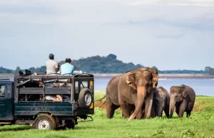 Tourist arrivals touches almost 960K