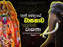 තුන් හෙළයේ වාසනාව කතරගම වාසනා | Kataragama Wasana