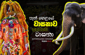 තුන් හෙළයේ වාසනාව කතරගම වාසනා | Kataragama Wasana