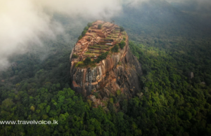 Tourism earnings up 56% to $ 2.8 b in first 11 months