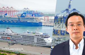 Rise in European cruise ship calls at Hambantota in 2024