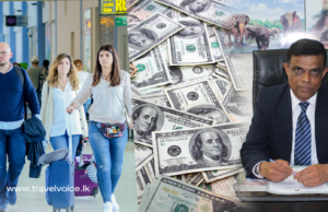 Sri Lanka expects 3 bln USD in tourism revenue for 2024