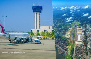 BIA one of the safest airports from bird strikes in the world