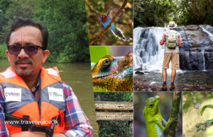Govt explores possibility of transporting tourists to Sinharaja Forest via Nilwala River