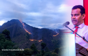 Ella fire : Deputy Tourism Minister responds to “Fake News”