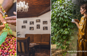 Sri Lanka’s first coffee heritage trail is to be inaugurated at the Tree of Life Hotel, Kandy, on April 4th.