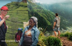 Sri Lanka’s Pekoe Trail tops Times’ World’s Greatest Places of 2025 list