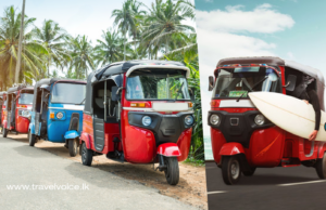 Tourist transport troubles and push for taxi regulation