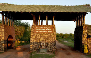 Yala National Park to open new zone