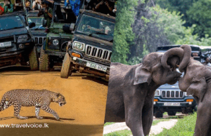 400 Tourism Drivers trained to Boost Service Standards