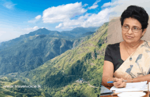 Belihuloya with natural ecosystem to be developed as tourist zone