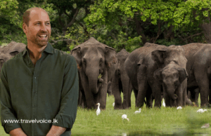 Latest episode of groundbreaking docuseries by Prince William puts spotlight on Sri Lanka’s wildlife