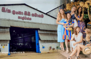 Pelwatte & Sevanagala sugar factories to be developed as tourist attractions