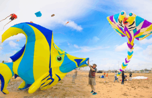 Colombo International Kite Festival 2025 begins today at Galle Face.