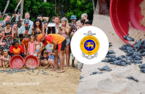 Over 62,000 turtle hatchlings released in 2025 by Sri Lanka Coast Guard