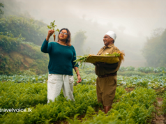 Heritance Hotels & Resorts Launches ‘A Week Worth Tasting’, a Special Limited Series with Sav Pere