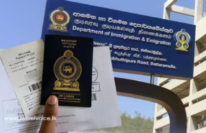 Passport issuance resumes as Immigration system restored