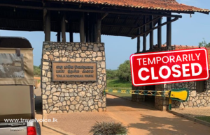 Yala National Park Zones 01 and 02 to Close Temporarily Due to Severe Heatwave and High Tourist Jeep Traffic