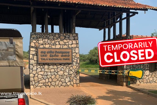 Yala National Park Zones 01 and 02 to Close Temporarily Due to Severe Heatwave and High Tourist Jeep Traffic
