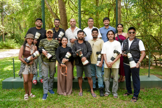 Sigiriya Village Hotel Collaborates with CameraLK and Sony Electronics to Showcase the Grandeur of Minneriya’s ‘Elephant Gathering’